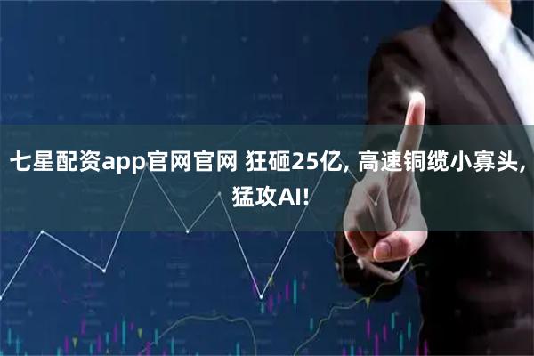 七星配资app官网官网 狂砸25亿, 高速铜缆小寡头, 猛攻AI!