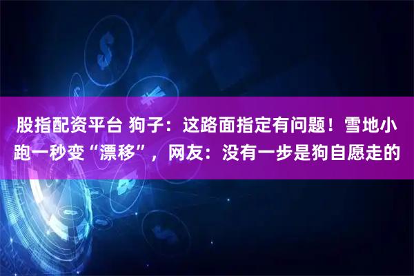 股指配资平台 狗子：这路面指定有问题！雪地小跑一秒变“漂移”，网友：没有一步是狗自愿走的