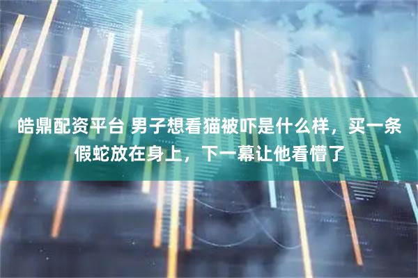皓鼎配资平台 男子想看猫被吓是什么样，买一条假蛇放在身上，下一幕让他看懵了